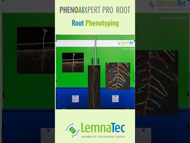 PhenoAIxpert Pro Root for Root and Shoot Phenotyping