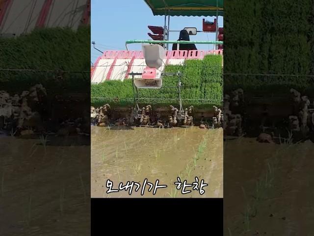신동진의 명성은 계속되어야 한다~~ #신동진1