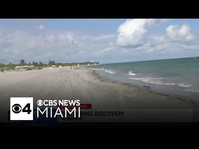 Human head found on Key Biscayne beach