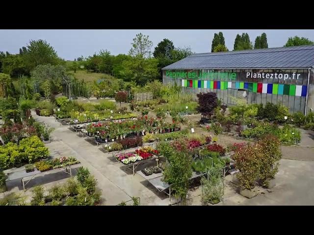 Pépinière, arbustes, fleurs, plantes (77) : JARDINERIE DE MEAUX