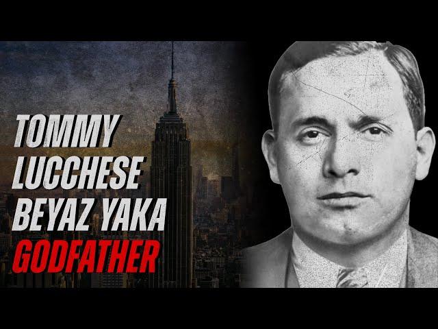 Tommy Lucchese - Beyaz Yaka Godfather