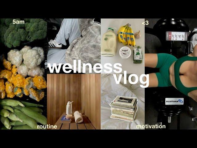 5am WELLNESS routine vlog  a productive + mindful / health week in my life