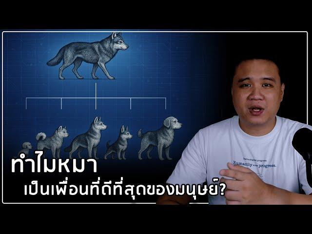 วิวัฒนาการของหมาเลี้ยง