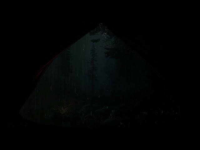 Camping in Forest when it's heavily raining, let the door open & watch rain falling outside tent️