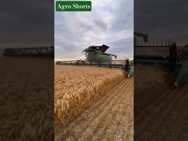 #agrishorts #johandeere #farming