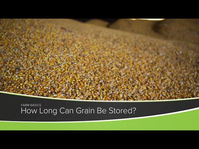 How Long Can Grain Be Stored? - Farm Basics