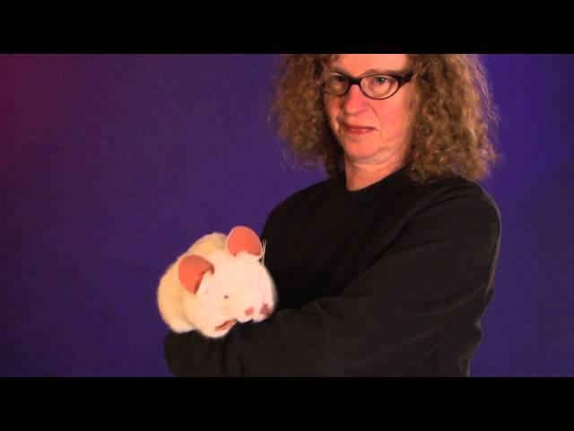 Folkmanis® White Mouse Puppet Demo