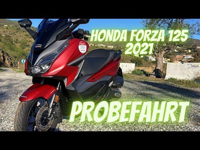 DER NEUE Honda Forza 125 (2021)  Probefahrt, Soundcheck, 0-100 km/h | (DEUTSCH/GERMAN) VLOG127 [4K]