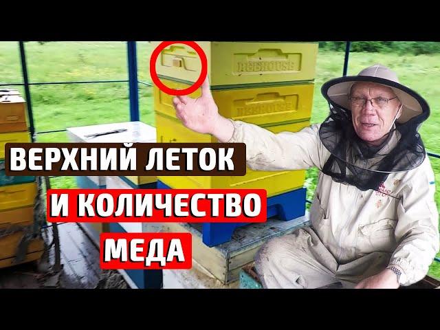 Как увеличить сбор меда. Удивительные эксперименты в пчеловодстве.