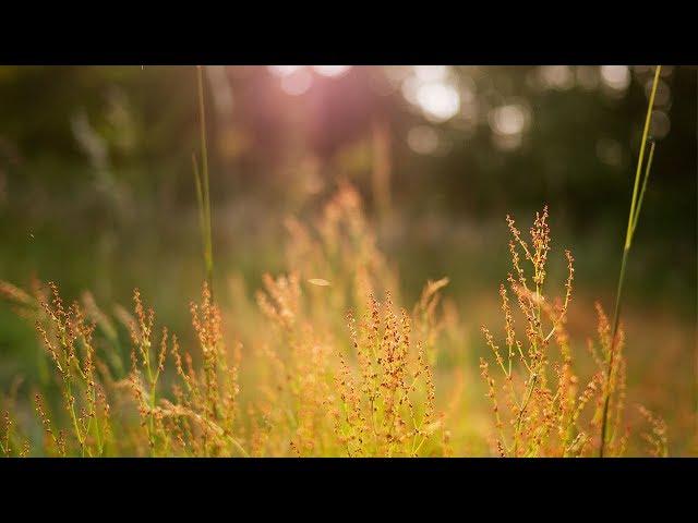 Prayer Music 16 - Beautiful Wolmyeongdong