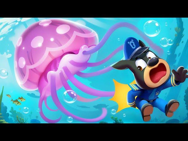 Be Careful of Jellyfish | Safety Tips | Kids Cartoons | Sheriff Labrador