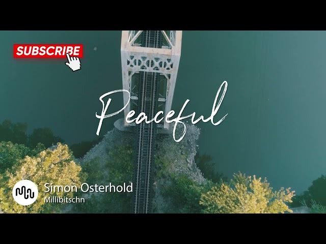 Best Jazz Peaceful Music for Video [ Simon Osterhold - Millibitschn ]