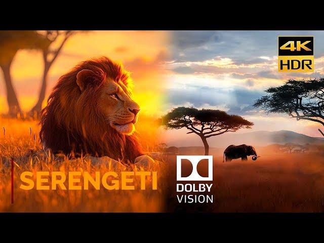 DOLBY VISION "Serengeti - A Symphony of Life" [4KHDR] 2000 nits OLED DEMO - DOLBY ATMOS Download