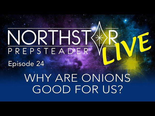 Why Are Onions Good for Us? • NORTHSTAR Live! Ep. 24