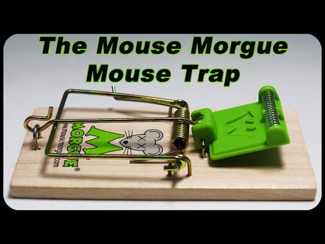 The MOUSE  MORGUE Mouse Trap - Most Sensitive Trigger Ever - No More Stolen Bait. Mousetrap Monday