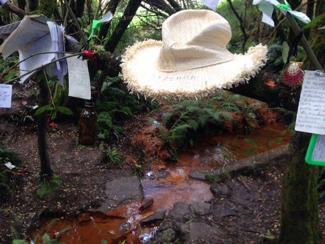 El Camino Rasta - August 2016