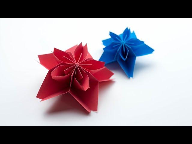 Paper Flower | Paper Craft | DIY | The Crafty Tube