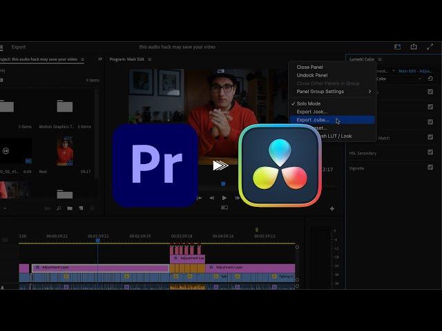 How To Export A Color Preset from Adobe Premiere Pro to Davinci Resolve!