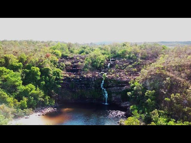 Cerrado, a 'floresta de cabeça para baixo' que leva água à boa parte do Brasil