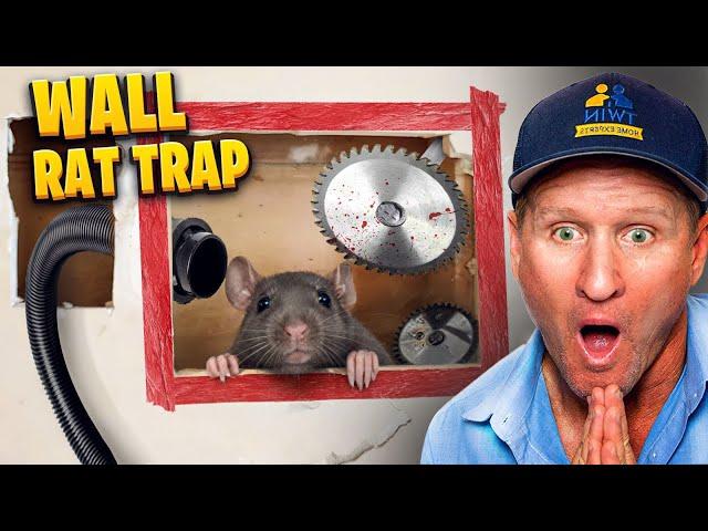 BRUTAL wall rat trap box… FAST rat removal !!