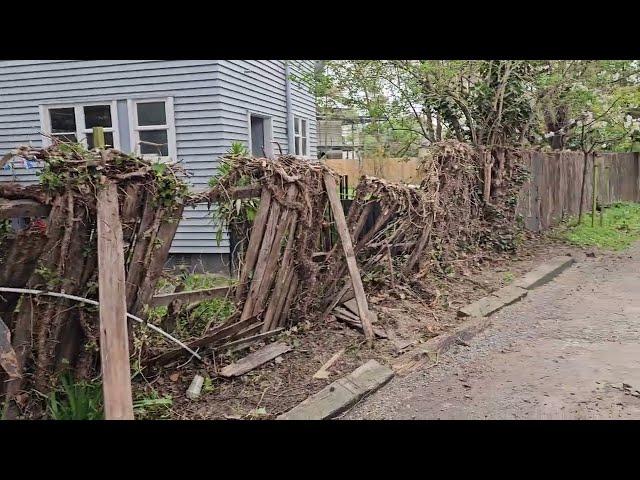 Dead TREE FALL on the ROOF of the HOUSE