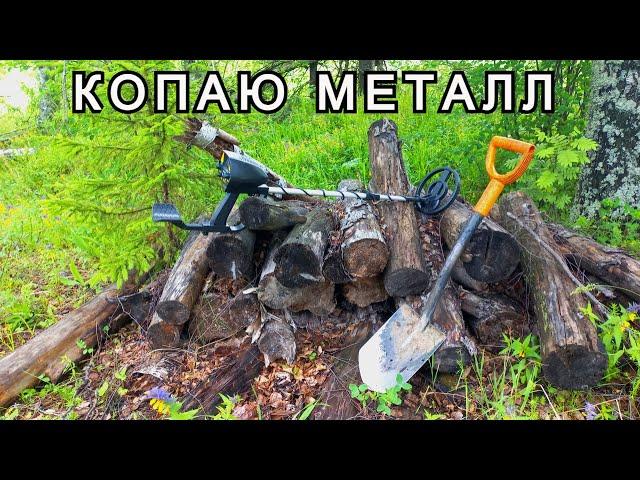 MD-4030 в Деле | Копаю Чермет | Делянка Лесорубов | Где Искать Металл