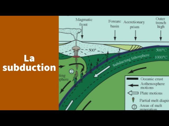 Les zones de subduction - Première Spécialité SVT