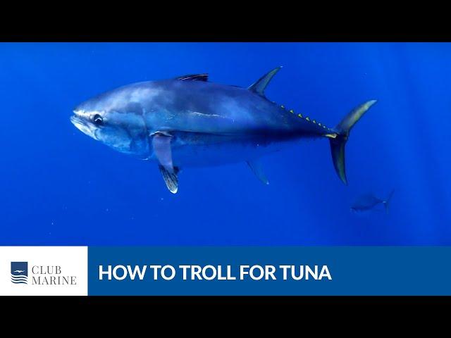 How to Troll for Tuna with Al McGlashan | Club Marine TV