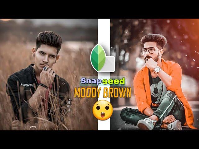 Snapseed Moody Brown Effect Trick | Snapseed Background Colour Change - SKY Creation