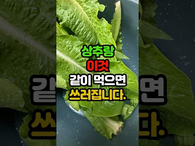상추랑 이것 같이 먹으면 쓰러집니다. #백세시대 #건강 #중년건강 #일상건강 #중년 #건강음식 #40대 #60대 #50대 #중년건강