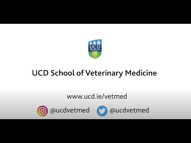 UCD School of Veterinary Medicine - Graduate Entry Veterinary Medicine (MVB) Programme 2022/2023