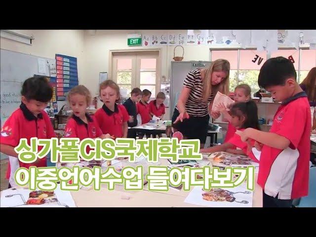 싱가폴 CIS국제학교 이중언어수업 들여다보기ㅣ싱가포르유학 [신세기유학원]