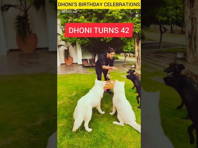 M S Dhoni celebrates Birthday with his lovely pets #dhoni #msdhoni #cricket