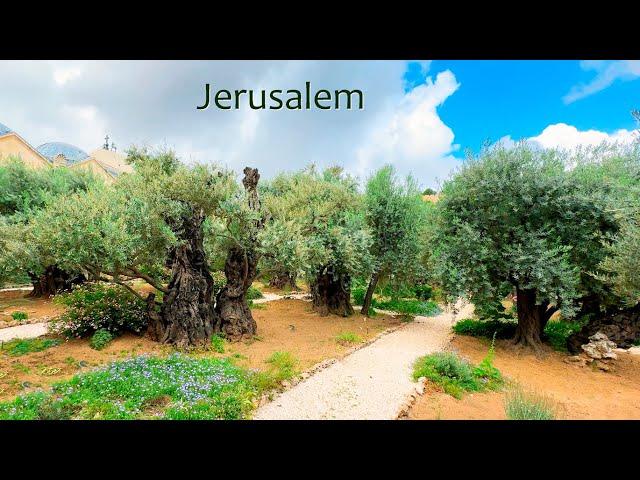 Jerusalem. From The Garden Tomb to The Garden of Gethsemane.