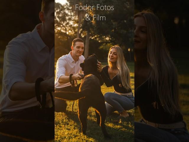 Couples portrait session with Dog Tampa | Fodor Fotos & Film