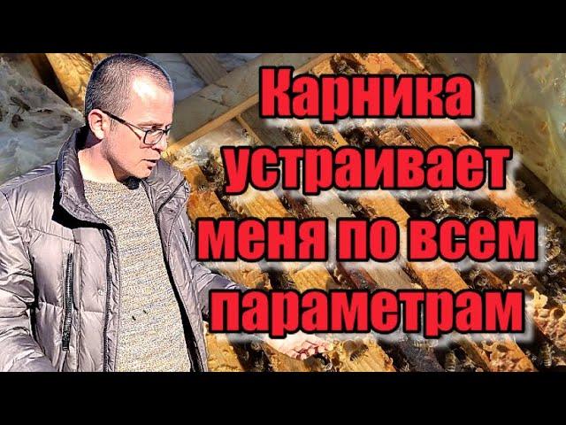 Карника устраивает меня по всем параметрам! Алексей Белоус