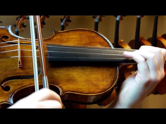 Violin Completed at Andrew's Fine Violins by Andrzej Dekacz