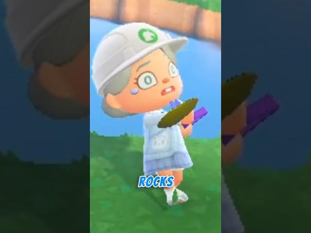 I really thought #animalcrossingnewhorizonsgameplay #acnh #animalcrossinggames