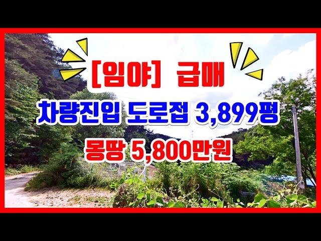 [급매 임야] 차량진입 도로접한 임야매매. 포항부동산 기계 화봉리 포항토지매매 포항임야매매 #착한부동산tv