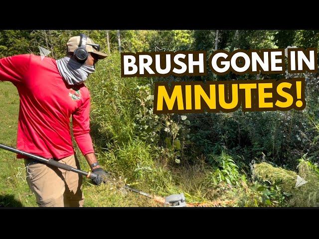 Clearing Overgrown Brush with Ease!