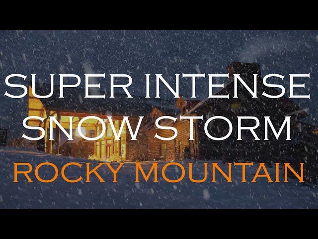 SUPER INTENSE SNOW STORM | Howl wind Snowfall | Mountain ambience | Rocky Mountains Colorado