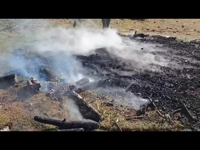 Pile burn to Biochar -  burning for biology