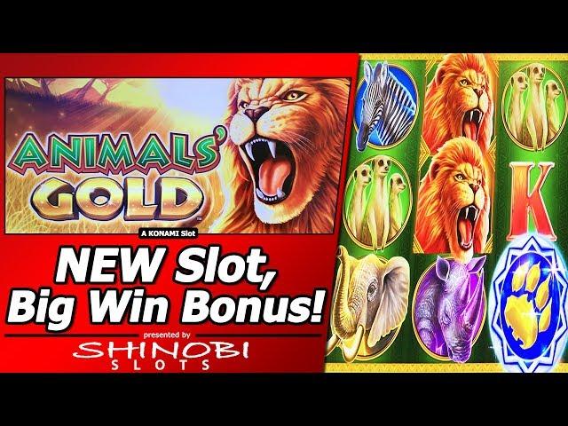 Animals' Gold Slot - New Slot, Live/Free Spins Bonuses, Big Win