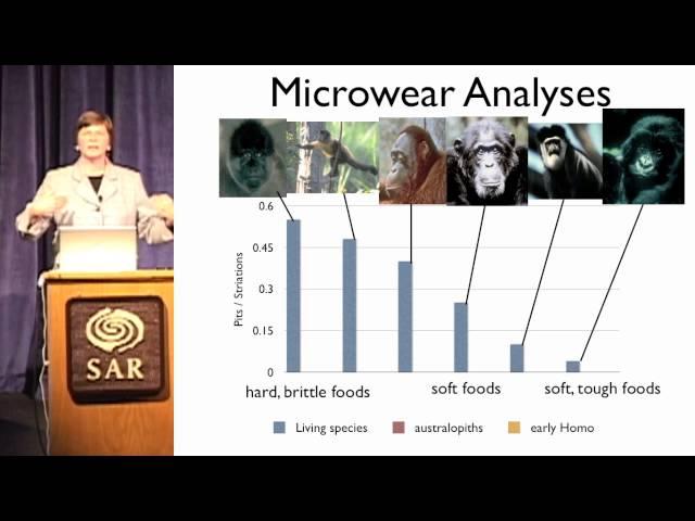 What's Cooking?: The Meat and Potatoes of Human Evolution