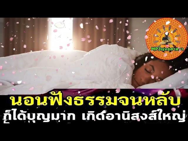 EP790.【ทางผิด】 ฟังธรรมะก่อนนอน Sleep and listen to Dharma