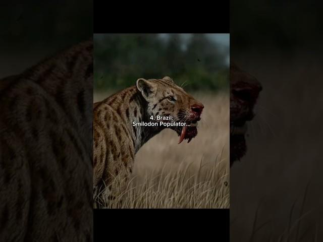 Extinct Animals from the Countries my Subscribers are from! #prehistoric #extinction #trex