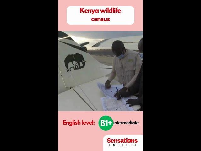 Kenya wildlife census