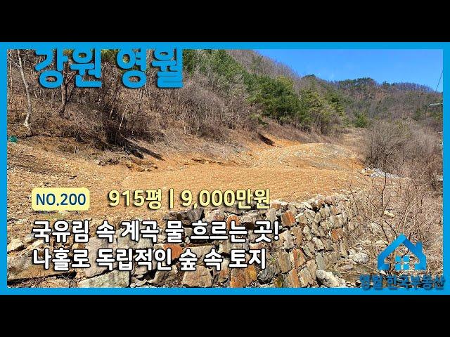 [영월토지]NO.200 국유림과 작은 계곡으로 둘러싸인 독립적인 산골토지, 나홀로 귀촌 토지 #영월로귀촌 #영월한국부동산