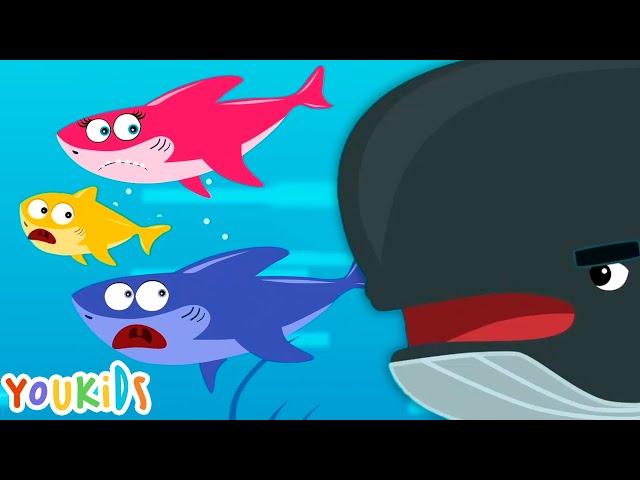 Baby Shark Family vs Whale | Youkids Song for Kids