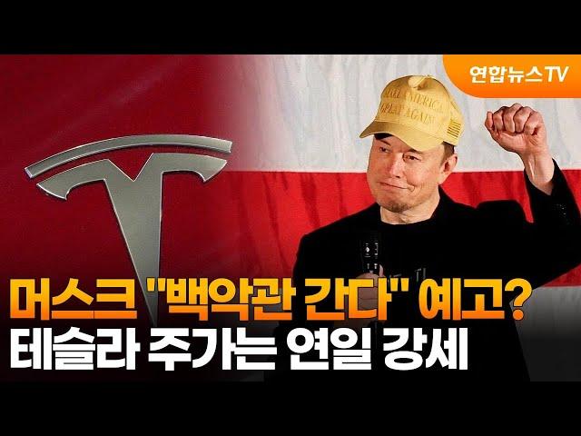 머스크 "백악관 간다" 예고?…테슬라 주가는 연일 강세 / 연합뉴스TV (YonhapnewsTV)